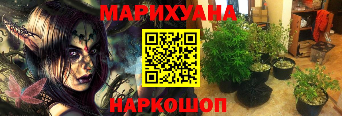 Шишки марихуана VHQ Ачхой-Мартан
